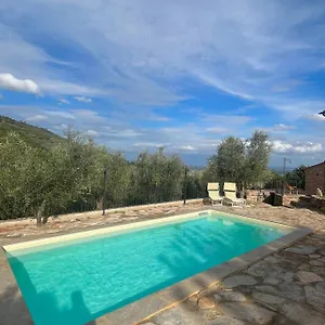 Campo Dei Lupi , Vicopisano Italie