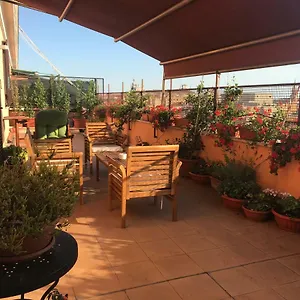 La Terrazza Di Evelina Guest house Rome